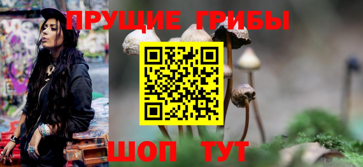 Галлюциногенные грибы мицелий  Псилоцибиновые грибы MAGIC MUSHROOMS  Вход с VPN  Верхний Уфалей 